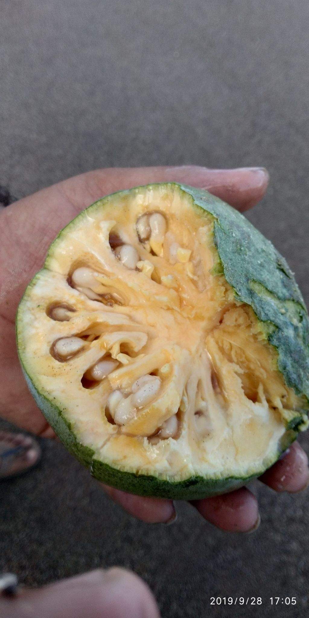 Aegle marmelos