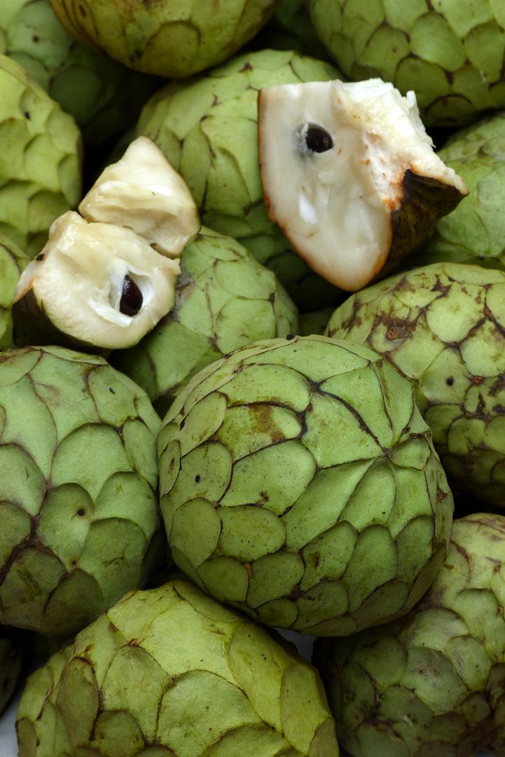 Annona cherimola