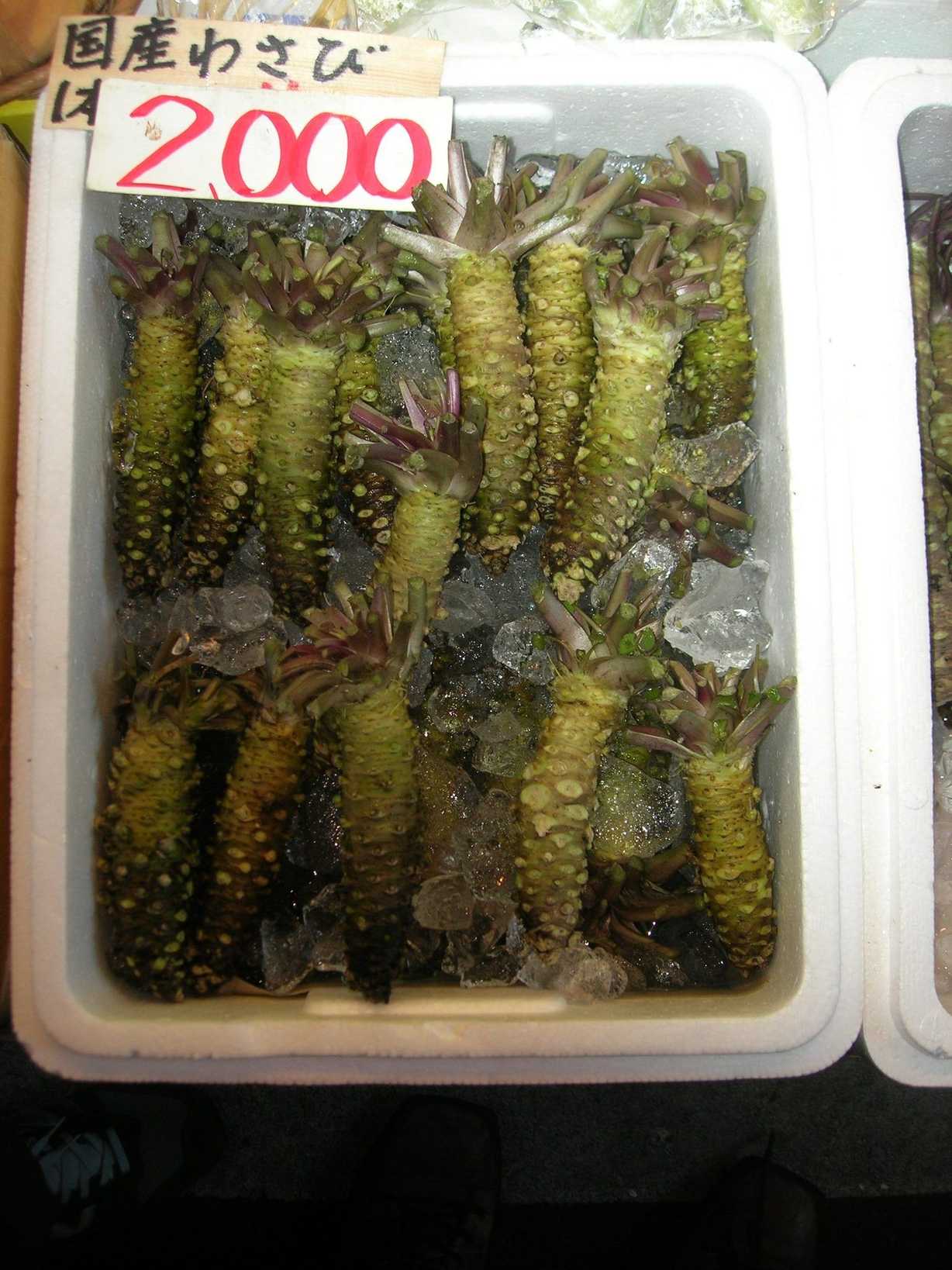 Eutrema japonicum