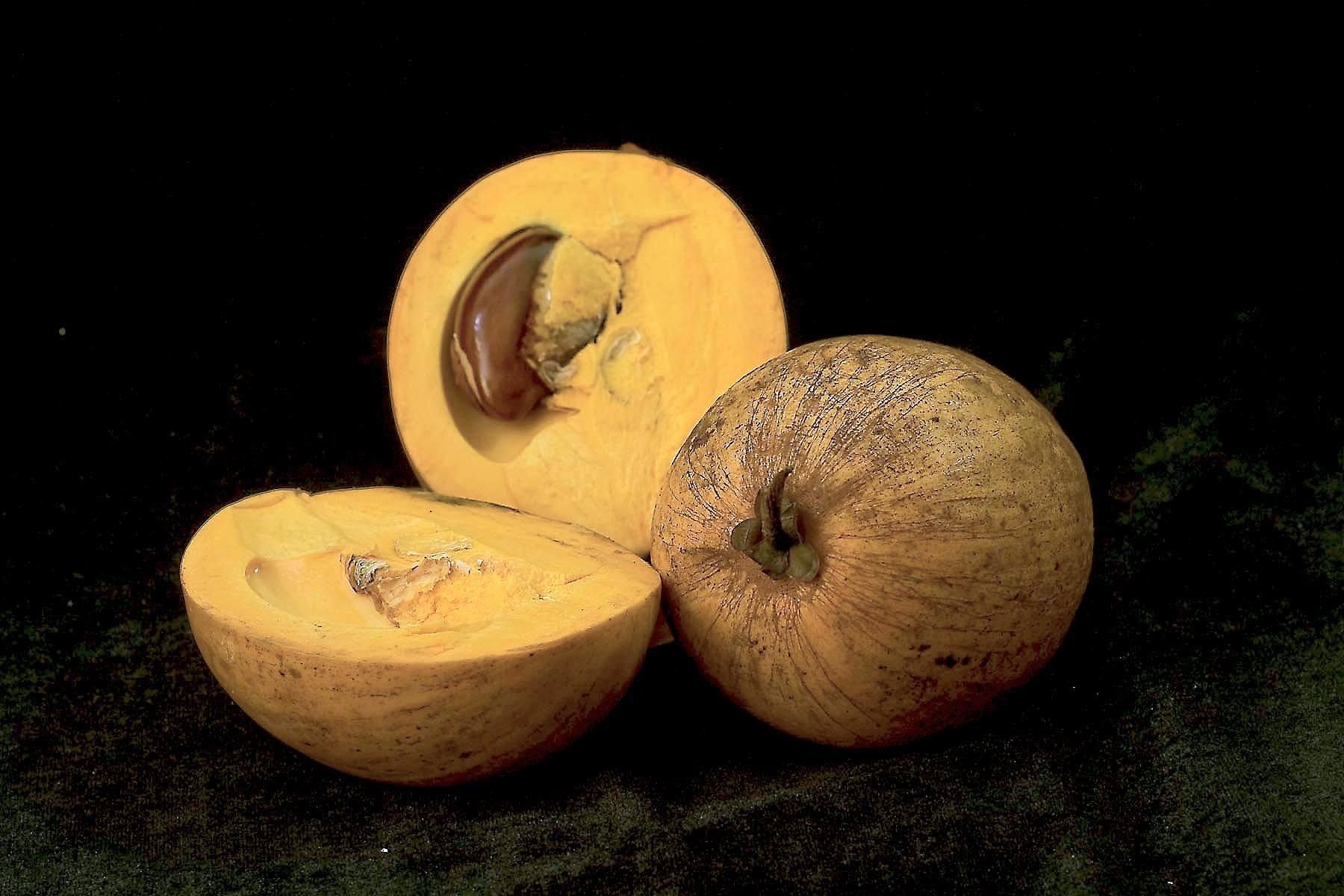 Pouteria lucuma