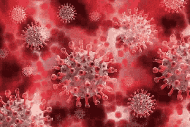 Viruses/Viroids