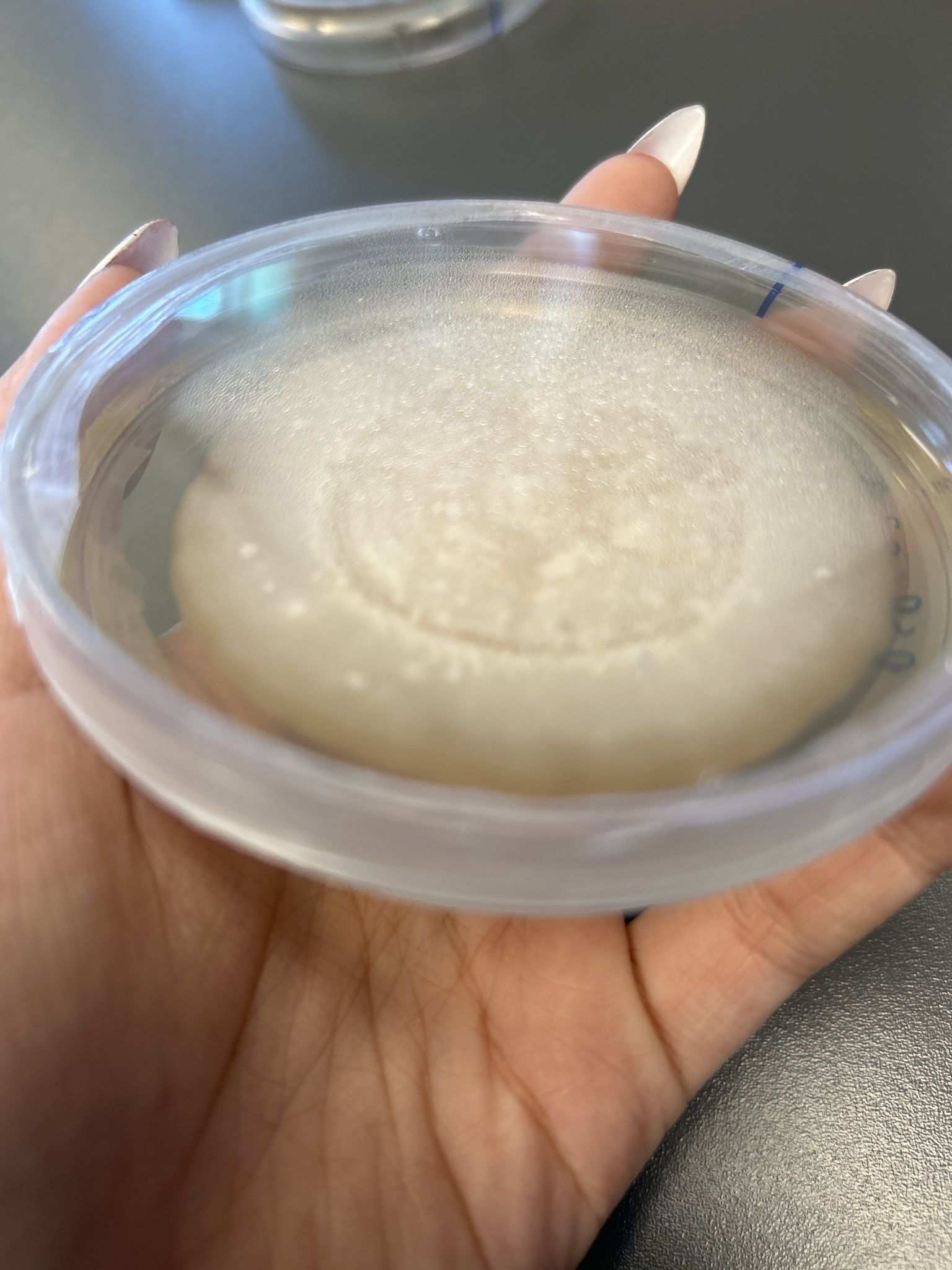 Paraphaeosphaeria