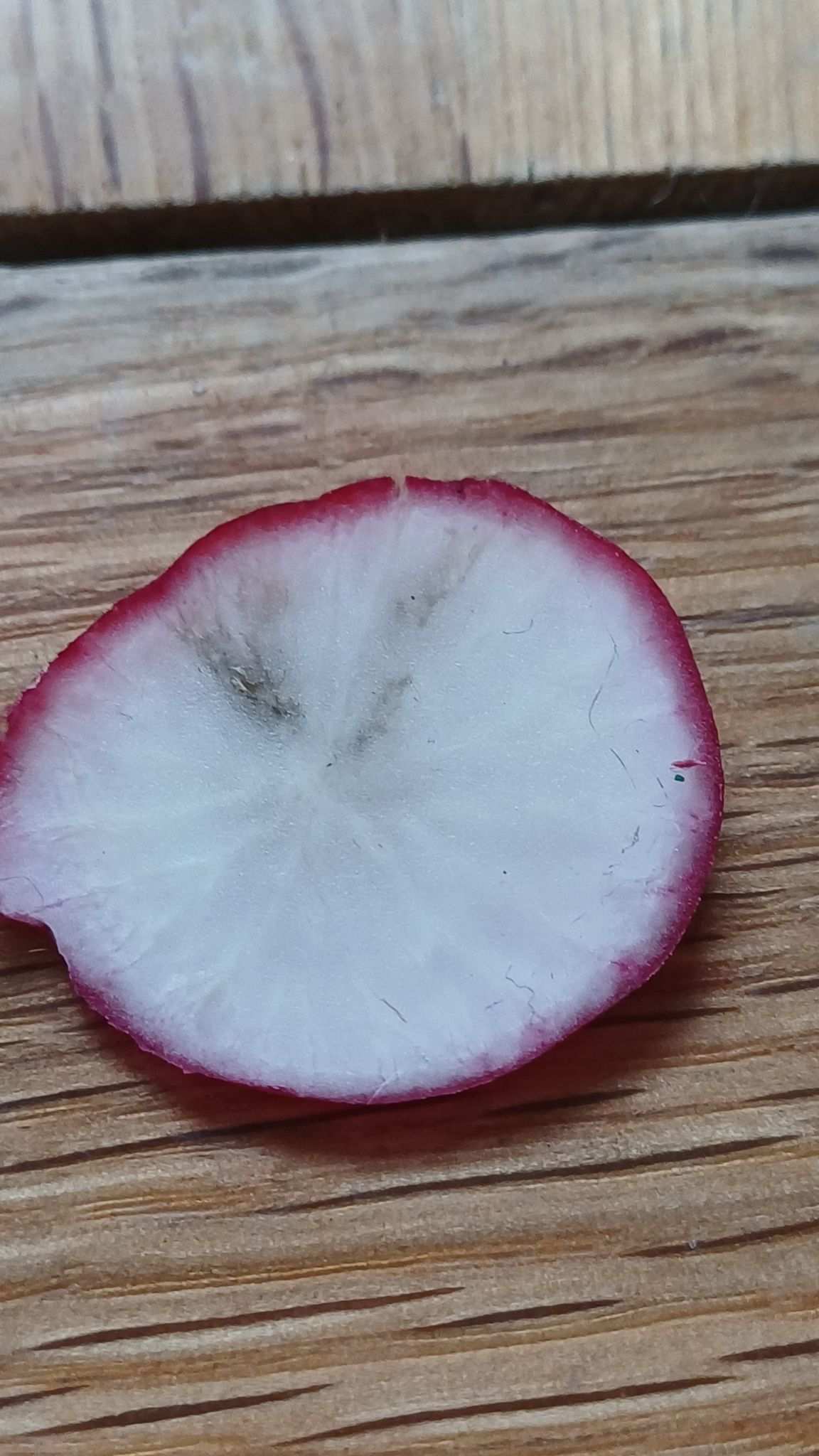 Aphanomyces raphani