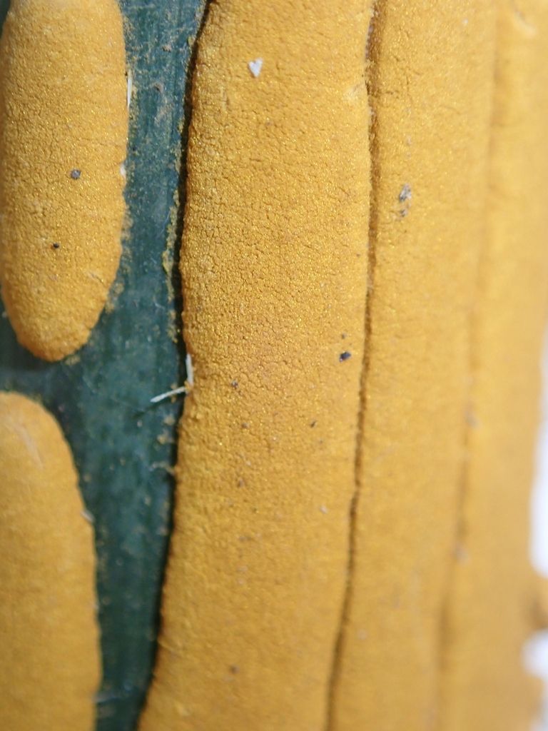 Stereostratum corticioides