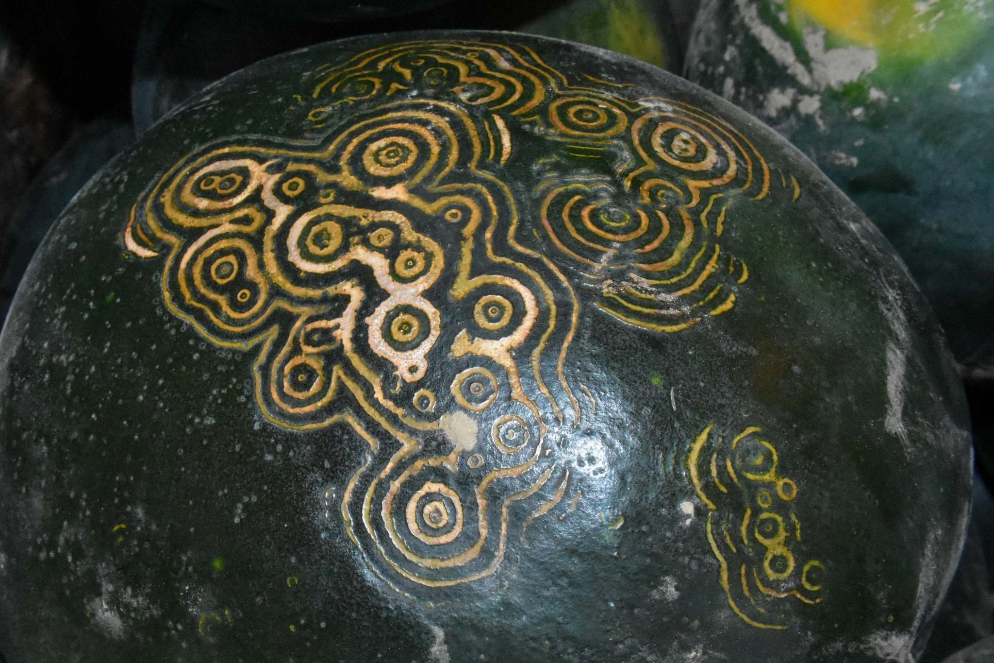 Watermelon mosaic virus