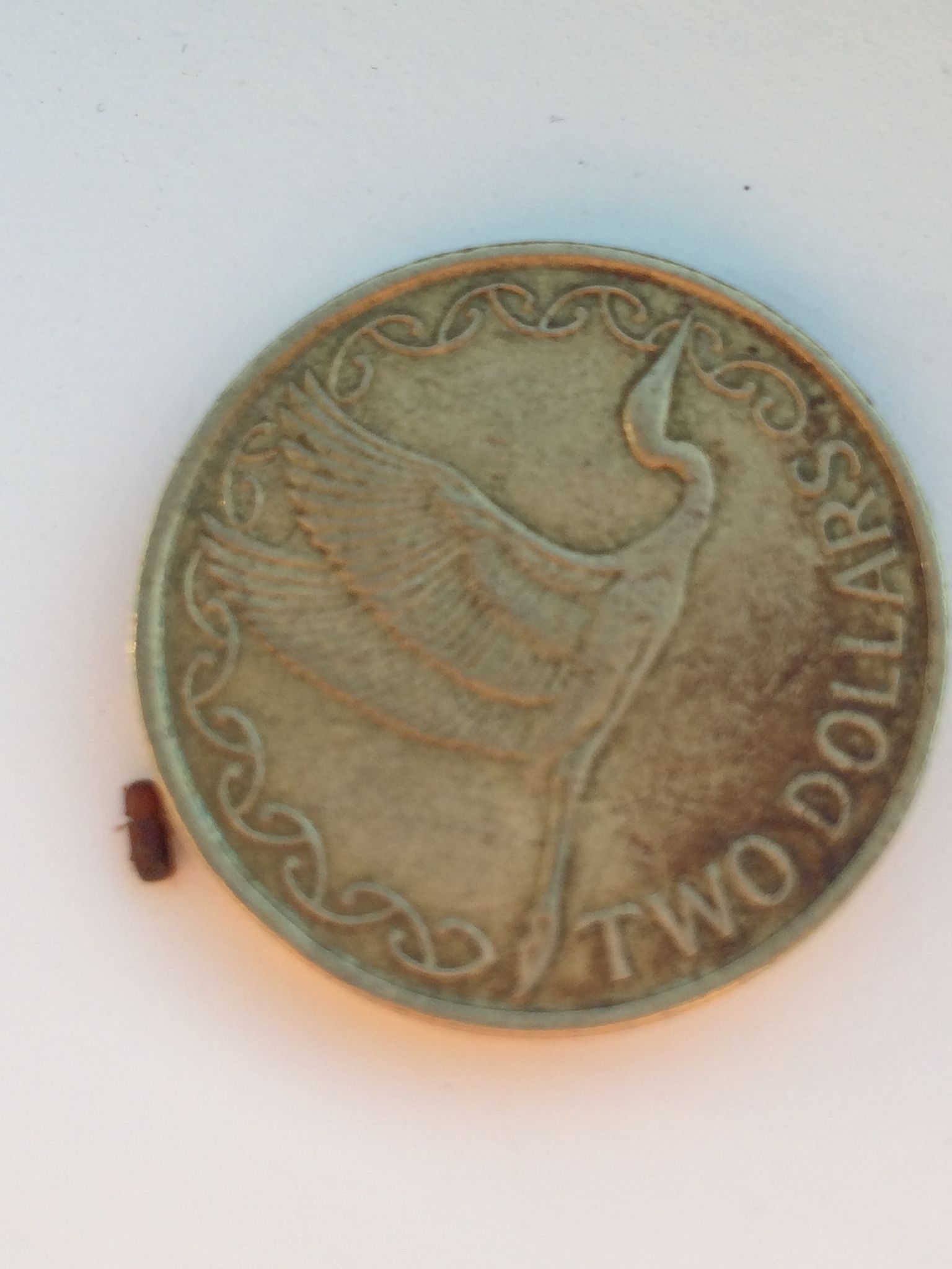 Ambrosiodmus compressus