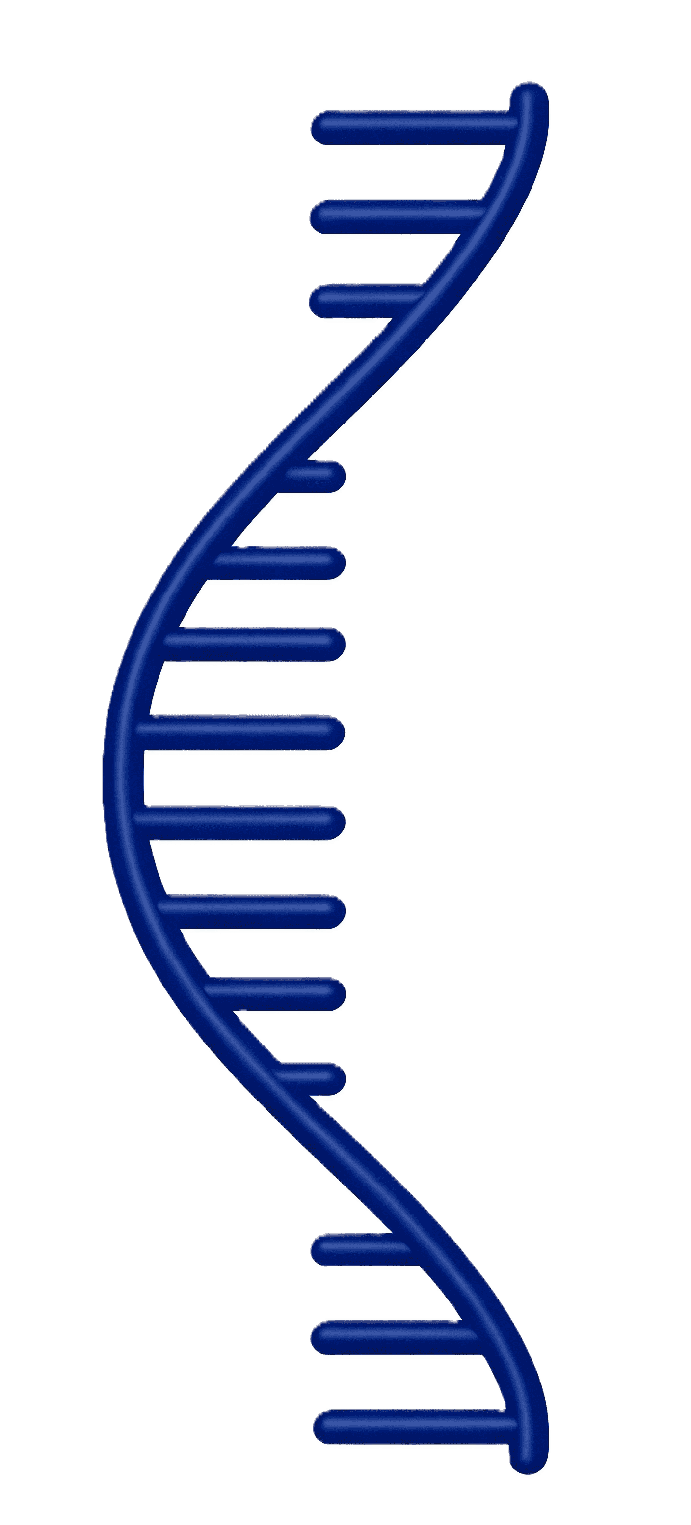 Transcriptome